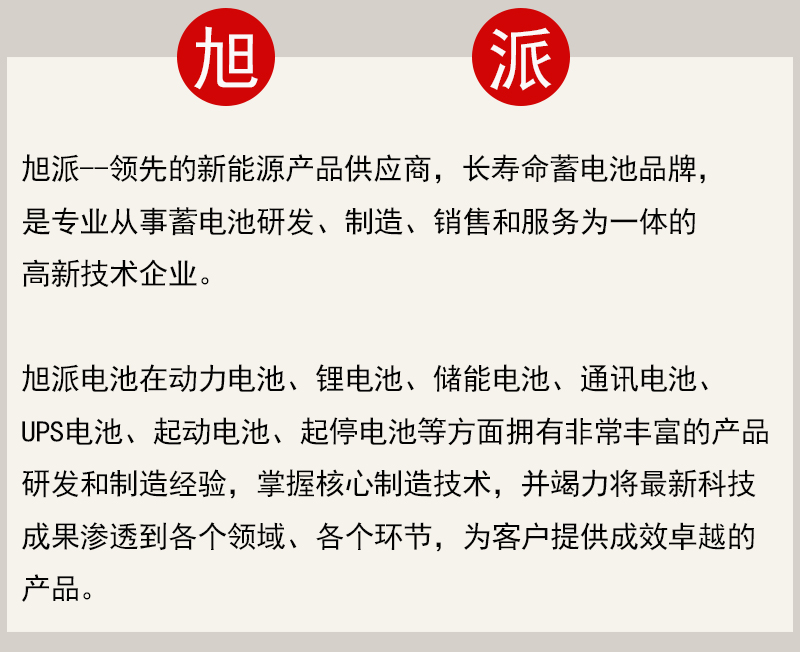 旭派电池.jpg